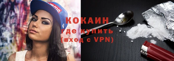гидра Слюдянка