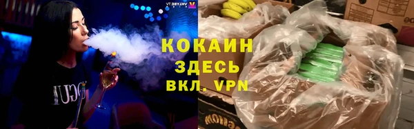 ГАЛЛЮЦИНОГЕННЫЕ ГРИБЫ Бородино