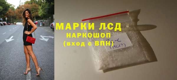 ГАЛЛЮЦИНОГЕННЫЕ ГРИБЫ Бородино
