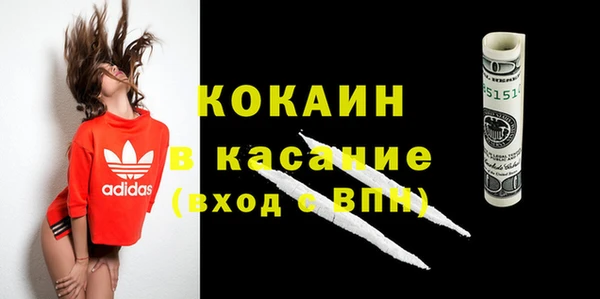 ГАЛЛЮЦИНОГЕННЫЕ ГРИБЫ Бородино