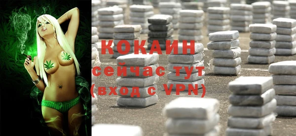 ГАЛЛЮЦИНОГЕННЫЕ ГРИБЫ Бородино