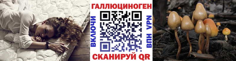 Псилоцибиновые грибы Magic Shrooms Нерехта